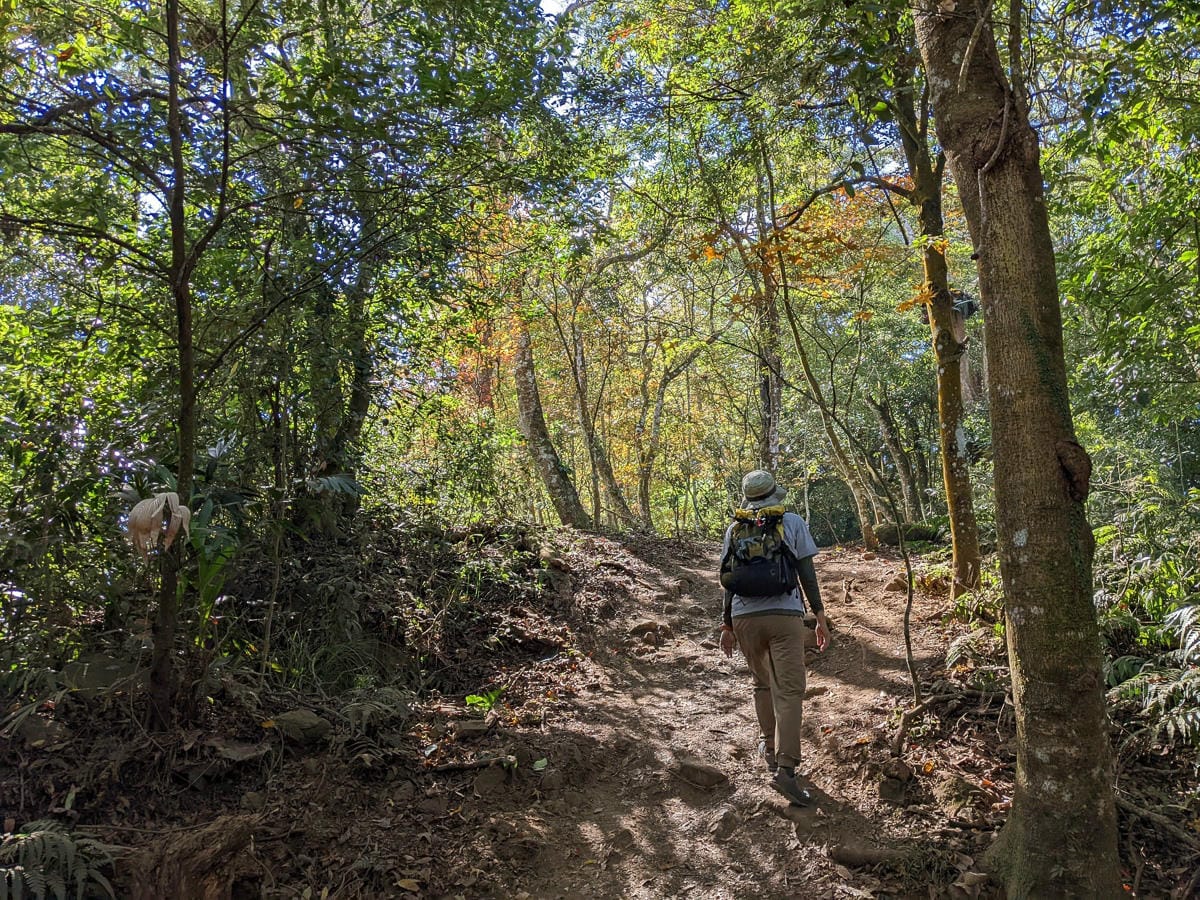 苗栗小百岳馬那邦山 值得沈醉四季聖稜之美