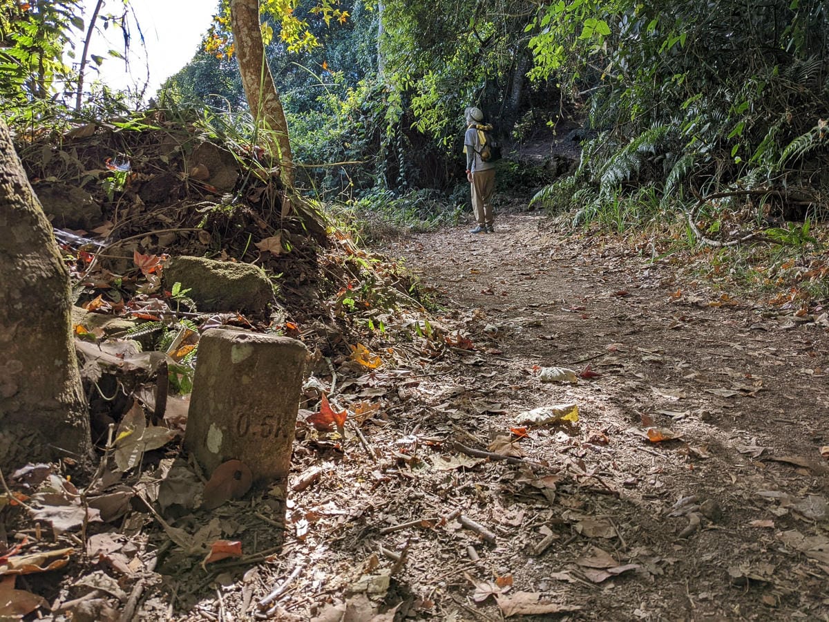 苗栗小百岳馬那邦山 值得沈醉四季聖稜之美