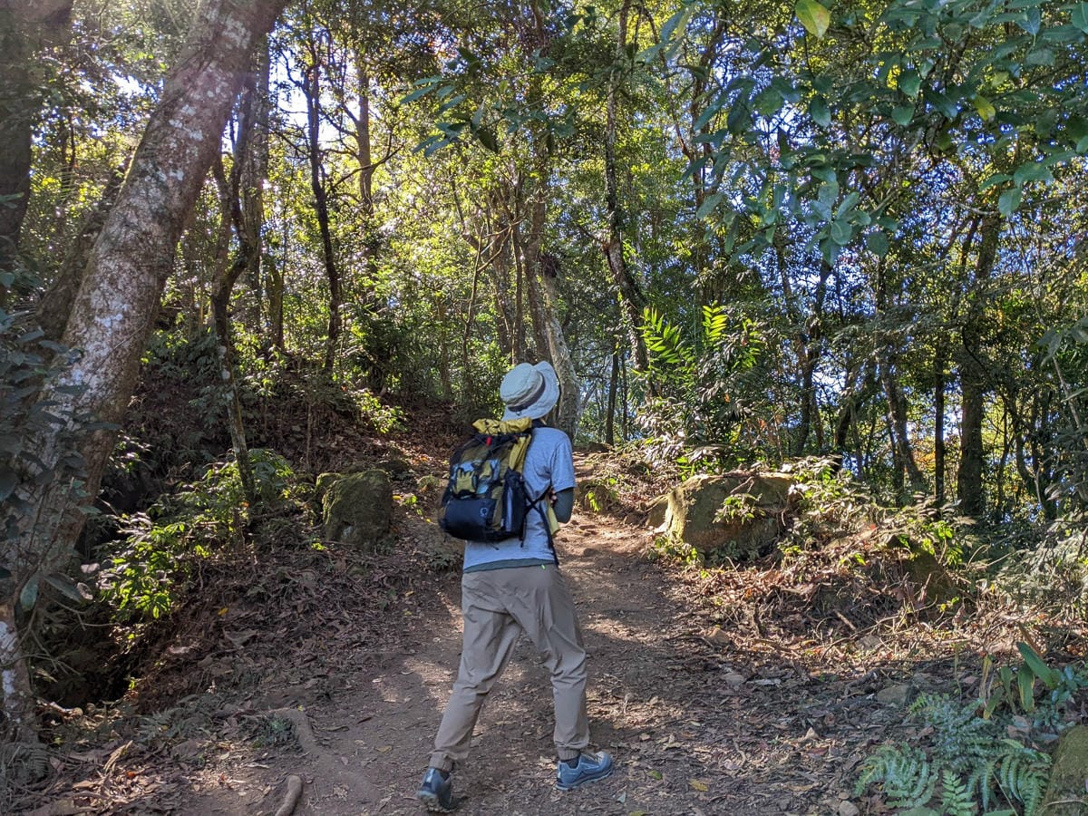 苗栗小百岳馬那邦山 值得沈醉四季聖稜之美