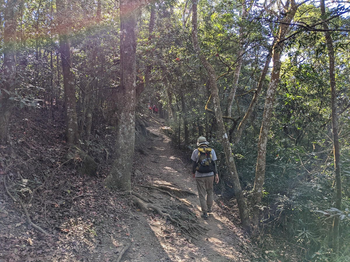 苗栗小百岳馬那邦山 值得沈醉四季聖稜之美