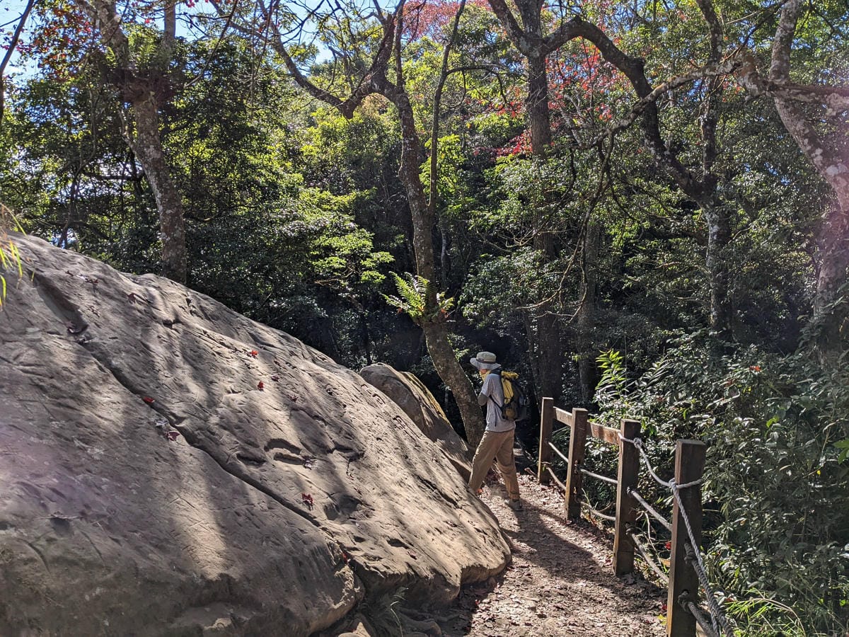 苗栗小百岳馬那邦山 值得沈醉四季聖稜之美