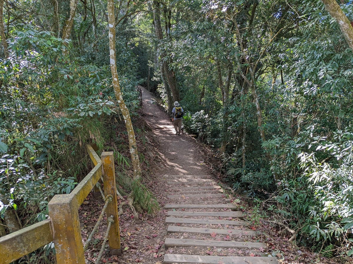 苗栗小百岳馬那邦山 值得沈醉四季聖稜之美