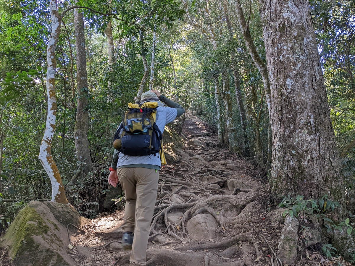 苗栗小百岳馬那邦山 值得沈醉四季聖稜之美
