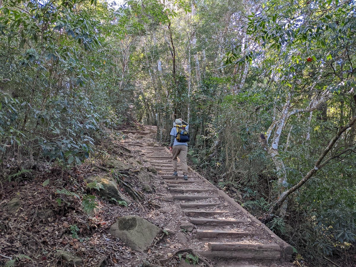 苗栗小百岳馬那邦山 值得沈醉四季聖稜之美