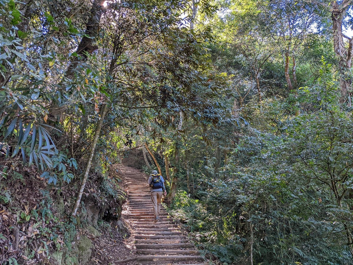 苗栗小百岳馬那邦山 值得沈醉四季聖稜之美