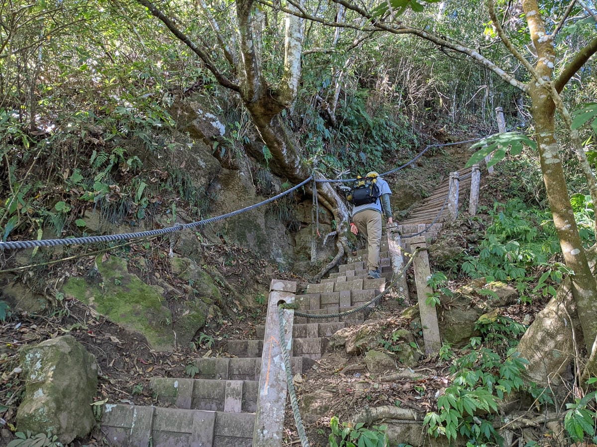 苗栗小百岳馬那邦山 值得沈醉四季聖稜之美