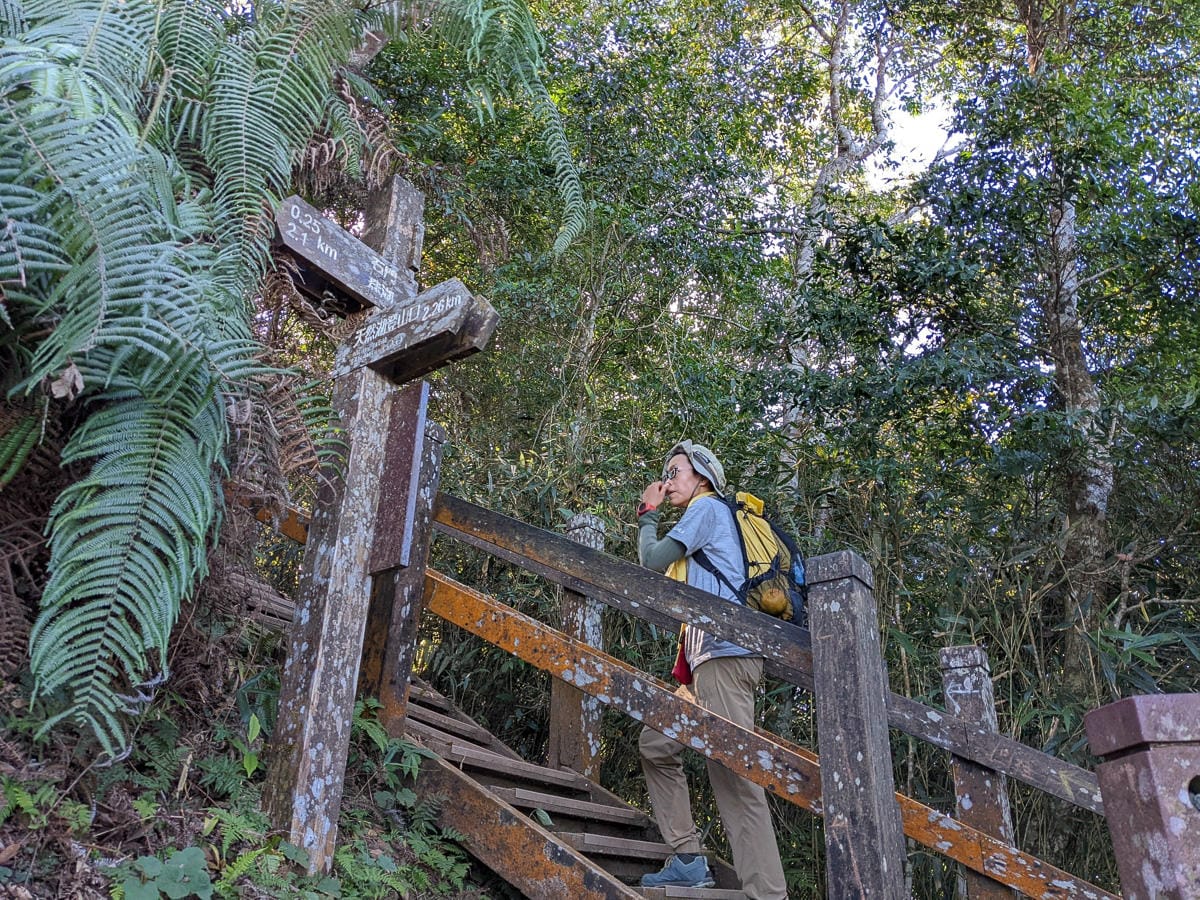 苗栗小百岳馬那邦山 值得沈醉四季聖稜之美
