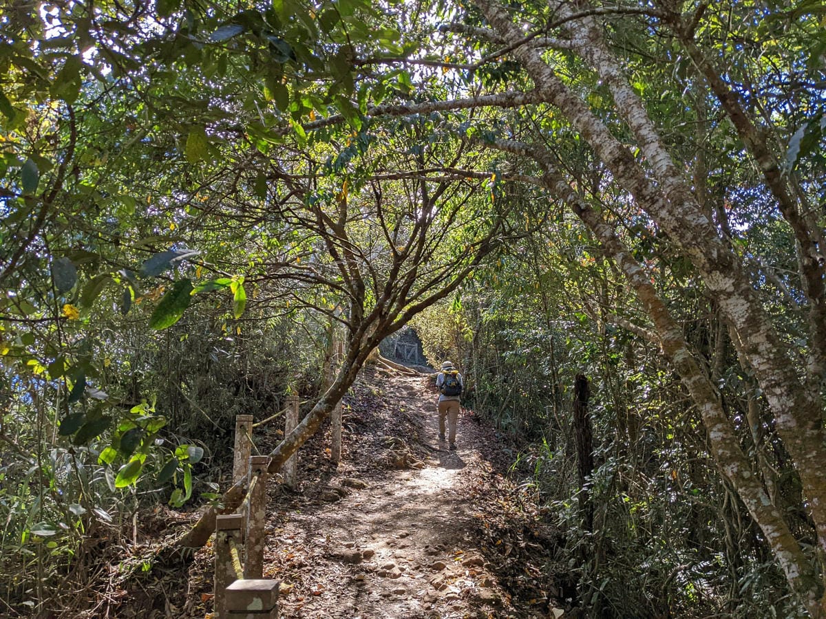 苗栗小百岳馬那邦山 值得沈醉四季聖稜之美