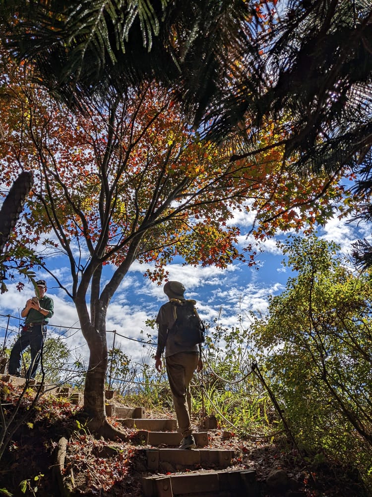 苗栗小百岳馬那邦山 值得沈醉四季聖稜之美