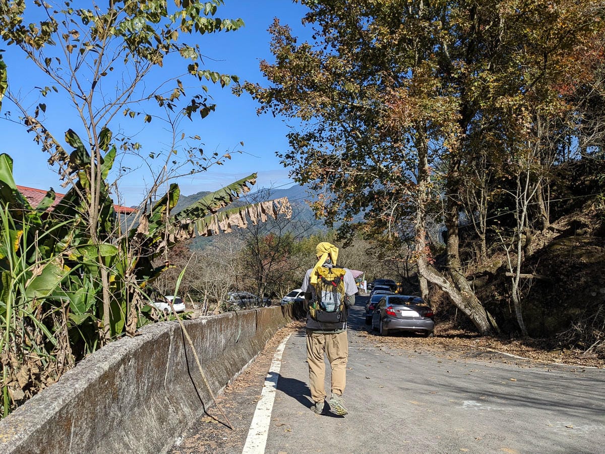 苗栗小百岳馬那邦山 值得沈醉四季聖稜之美