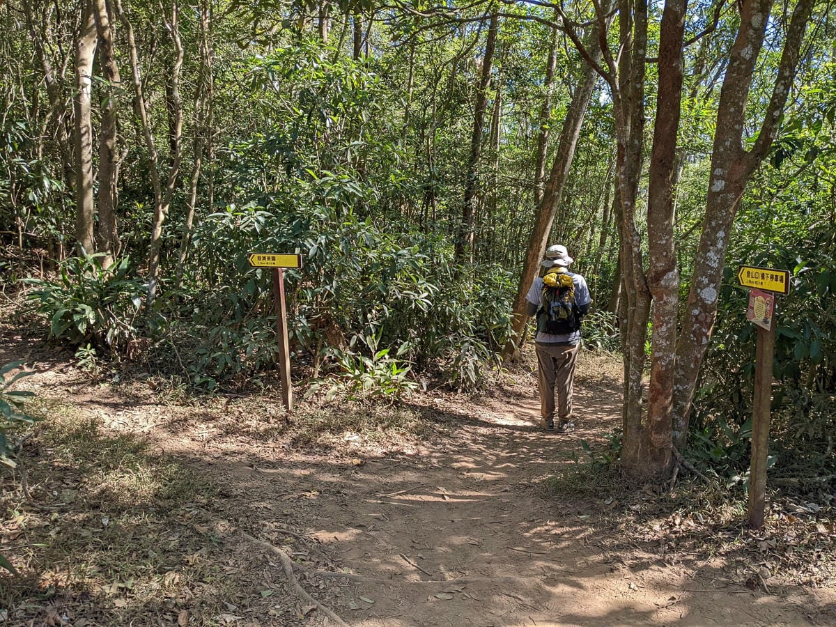 苗栗火炎山南鞍古道連走 小百岳配大峽谷絕美