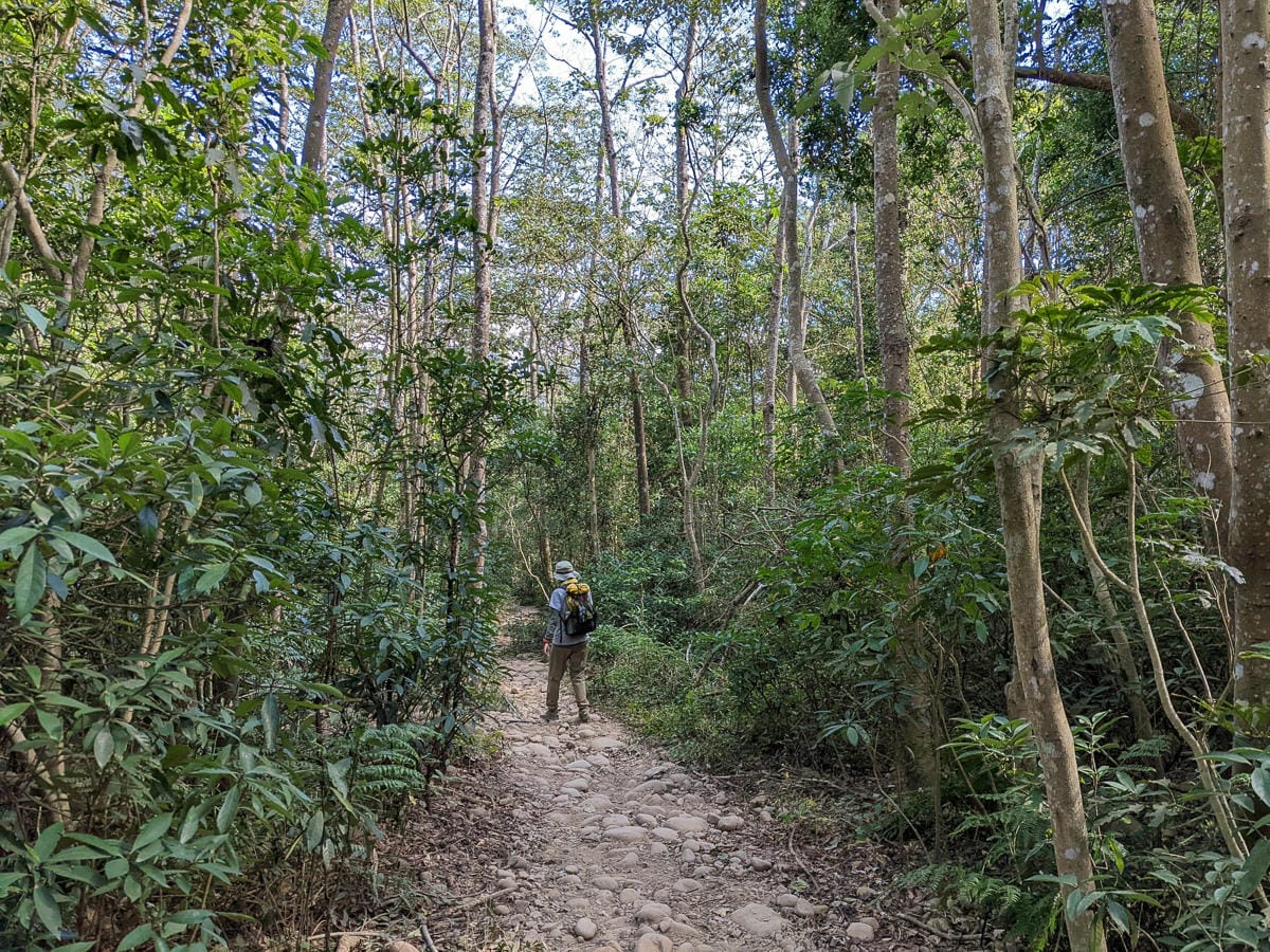 苗栗火炎山南鞍古道連走 小百岳配大峽谷絕美