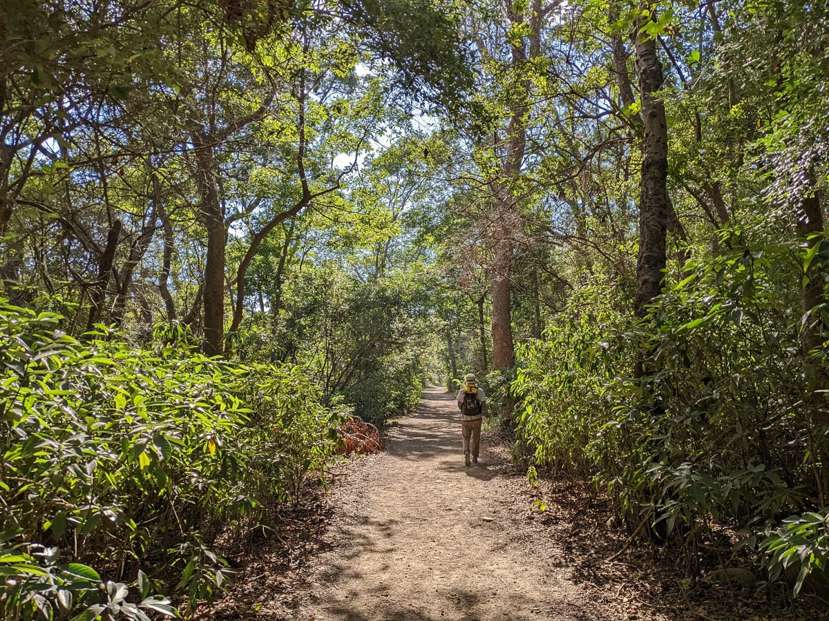 苗栗火炎山南鞍古道連走 小百岳配大峽谷絕美