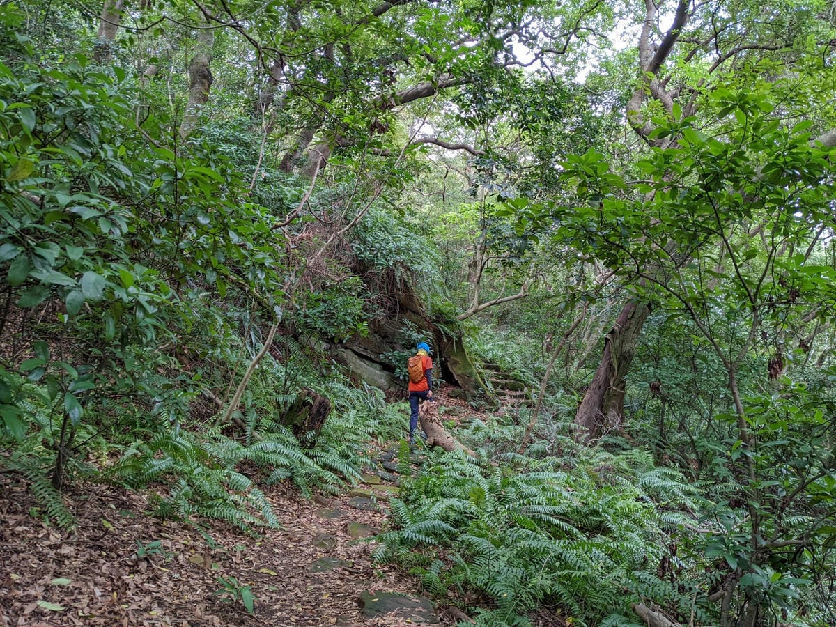 北投石牌軍艦岩丹鳳山爬山步道 非傳統路線連走