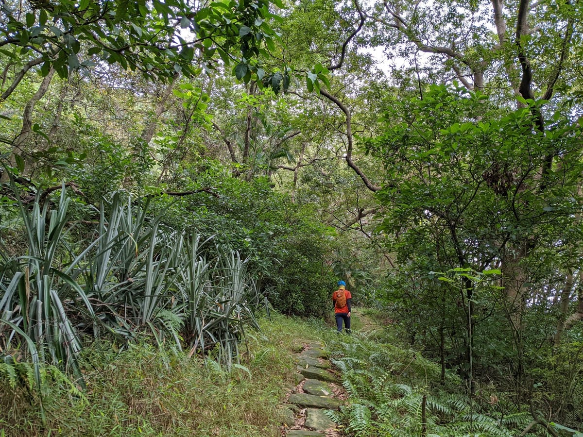北投石牌軍艦岩丹鳳山爬山步道 非傳統路線連走