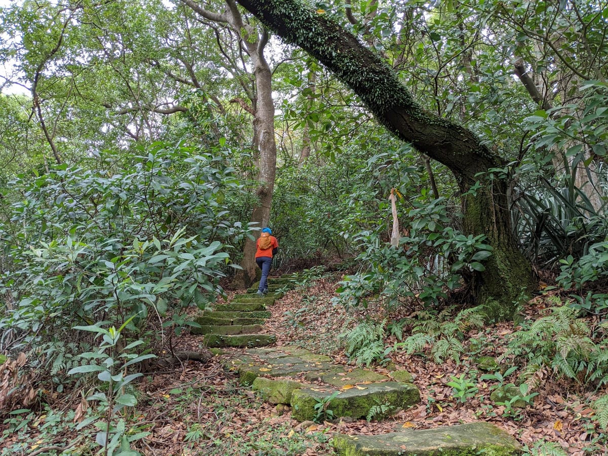 北投石牌軍艦岩丹鳳山爬山步道 非傳統路線連走
