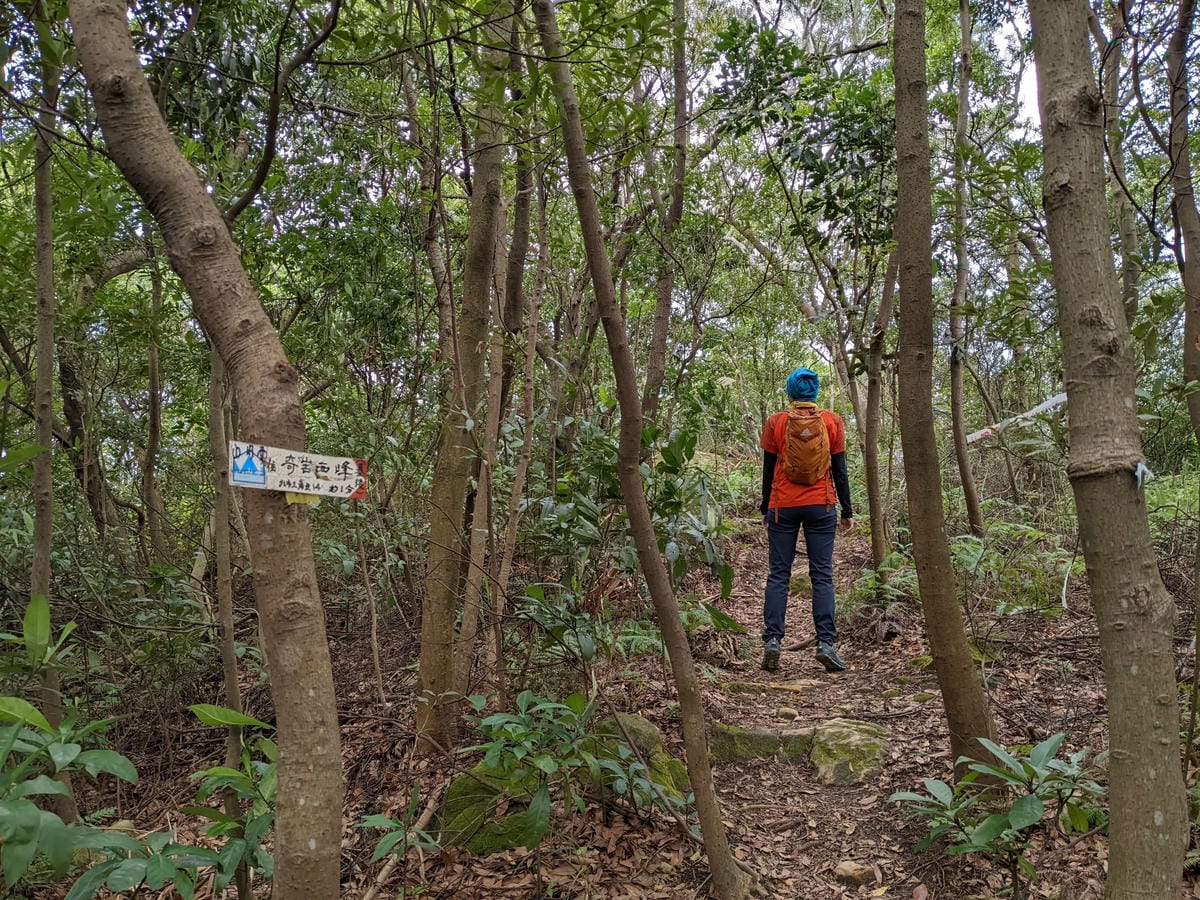 北投石牌軍艦岩丹鳳山爬山步道 非傳統路線連走