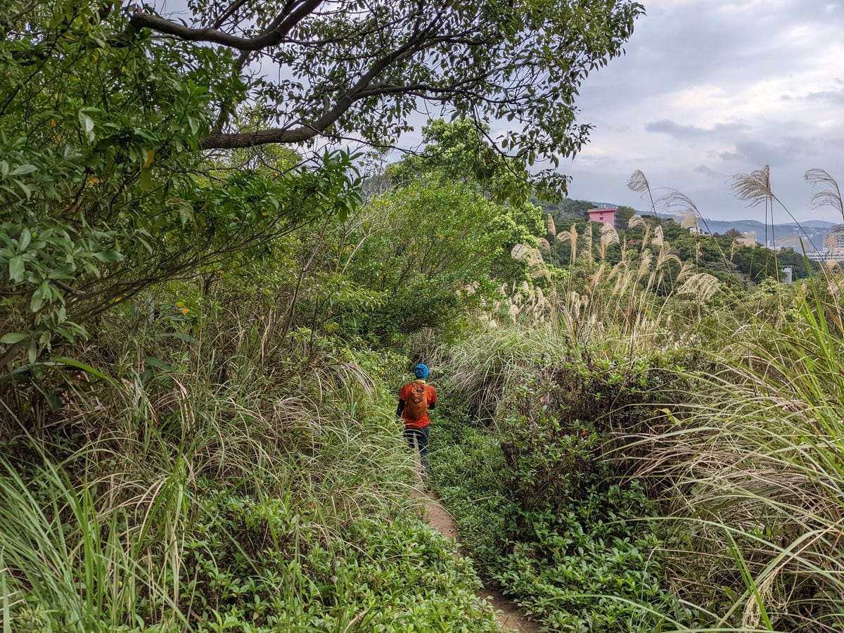 北投石牌軍艦岩丹鳳山爬山步道 非傳統路線連走