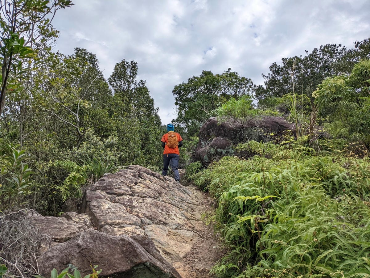 北投石牌軍艦岩丹鳳山爬山步道 非傳統路線連走