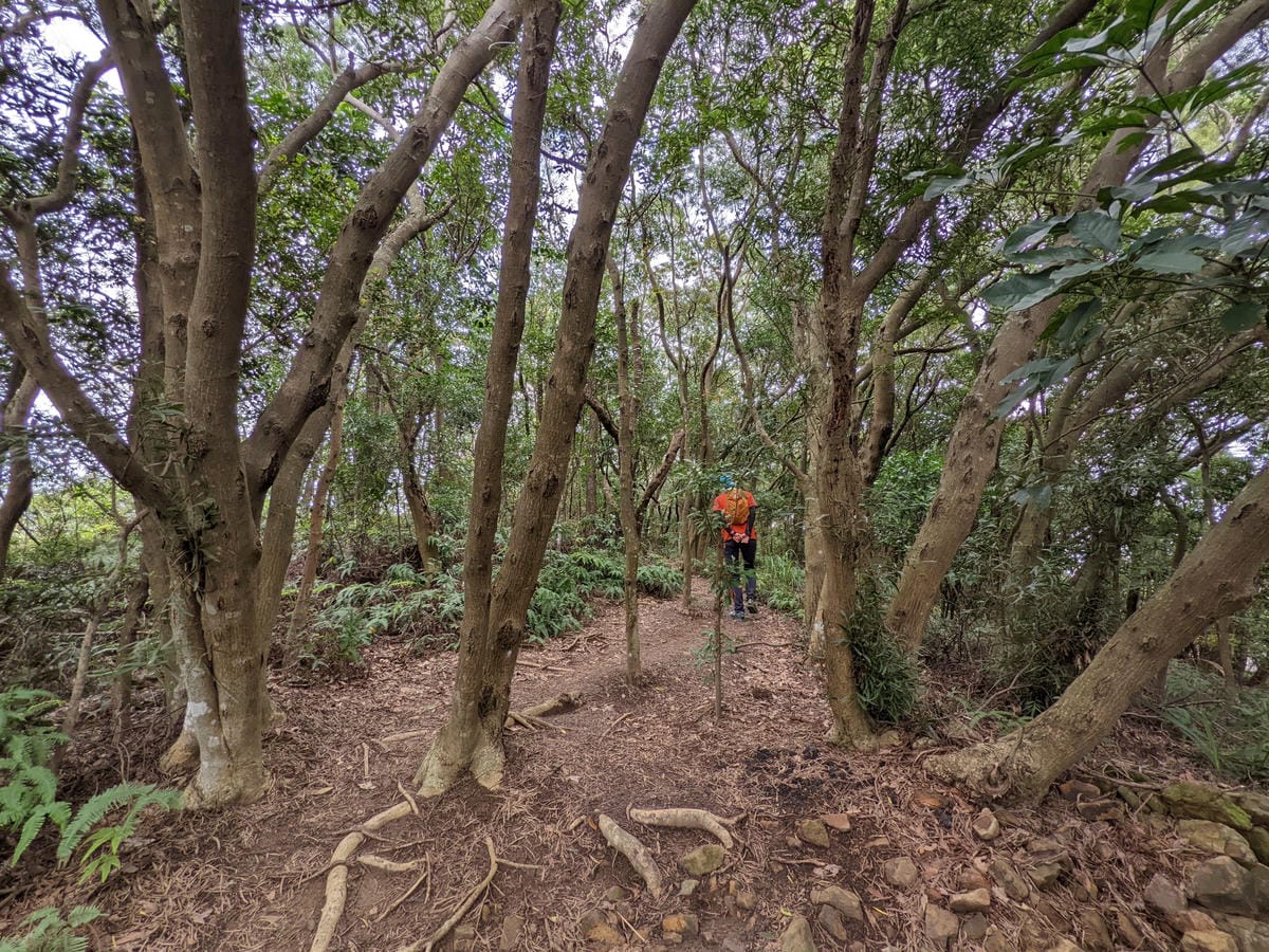 北投石牌軍艦岩丹鳳山爬山步道 非傳統路線連走