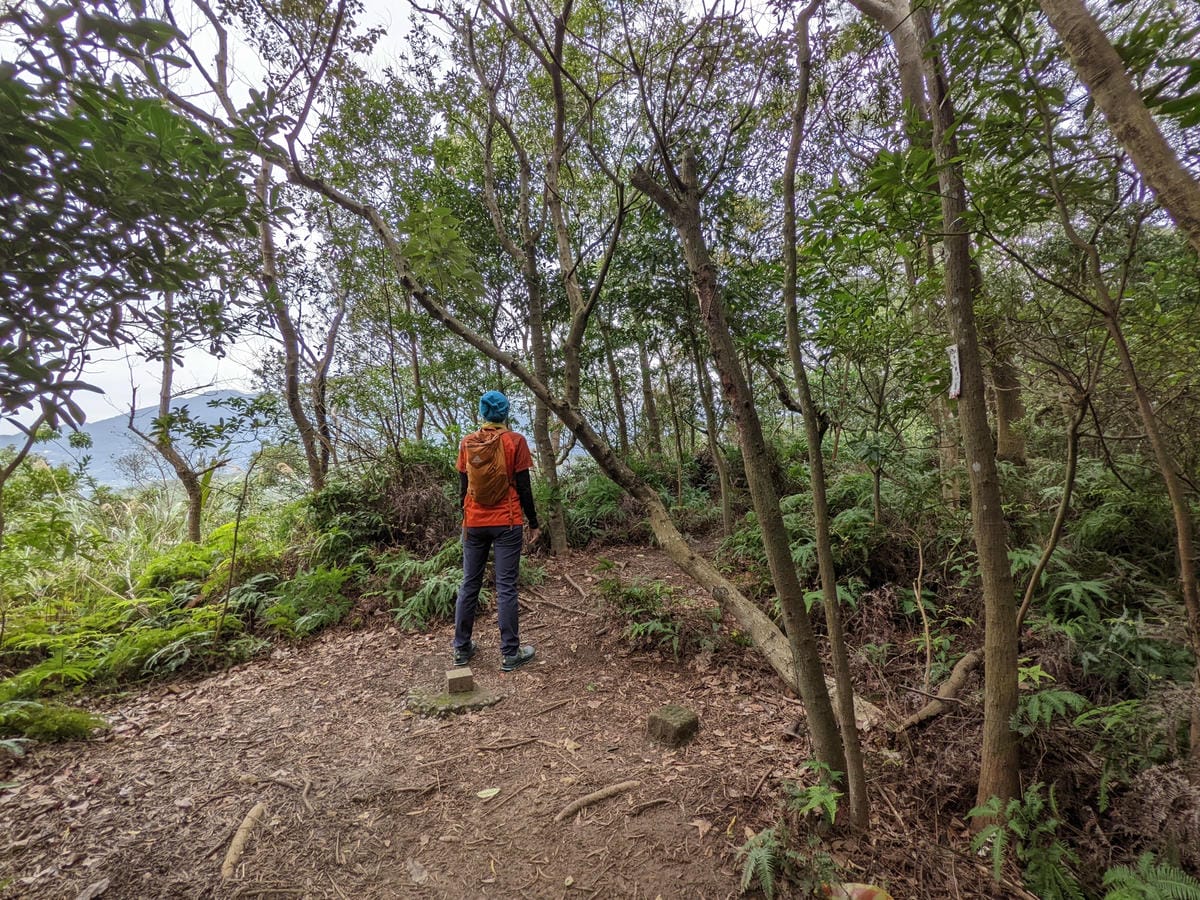 北投石牌軍艦岩丹鳳山爬山步道 非傳統路線連走