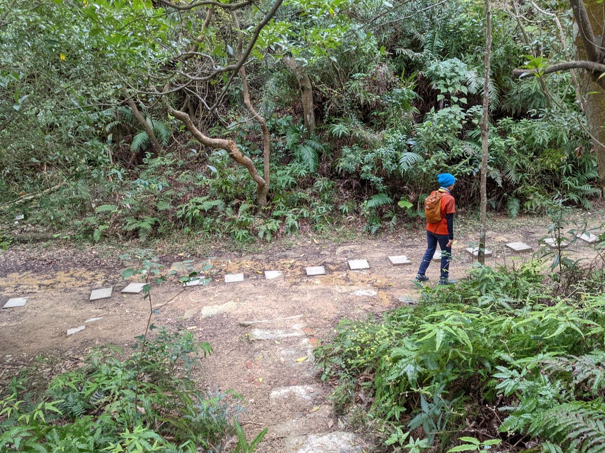 北投石牌軍艦岩丹鳳山爬山步道 非傳統路線連走