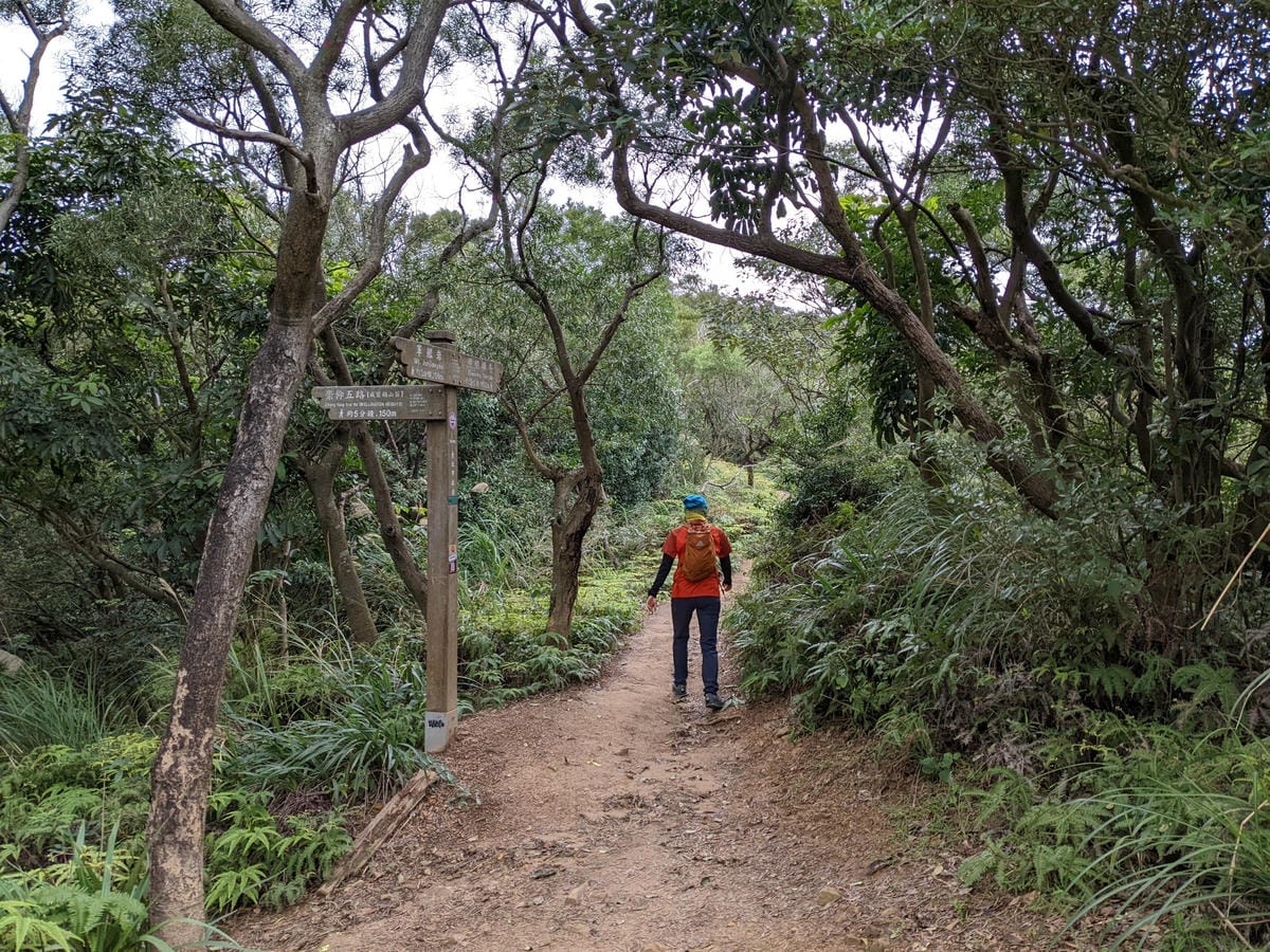北投石牌軍艦岩丹鳳山爬山步道 非傳統路線連走