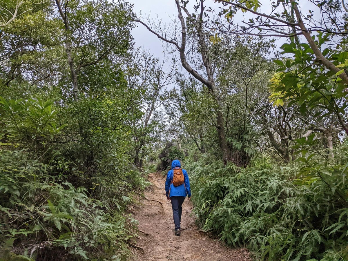 北投石牌軍艦岩丹鳳山爬山步道 非傳統路線連走