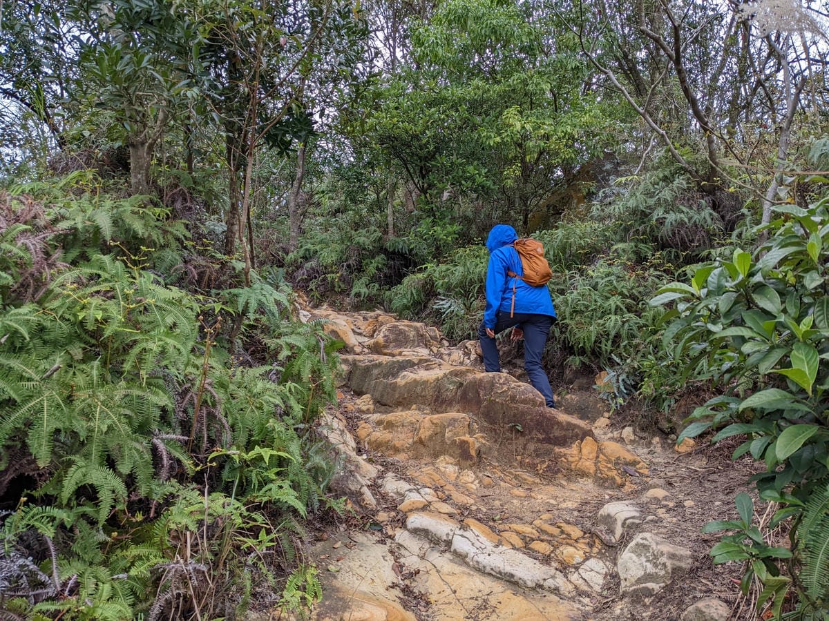 北投石牌軍艦岩丹鳳山爬山步道 非傳統路線連走