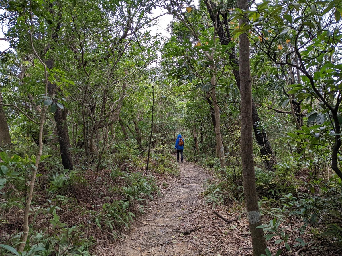 北投石牌軍艦岩丹鳳山爬山步道 非傳統路線連走