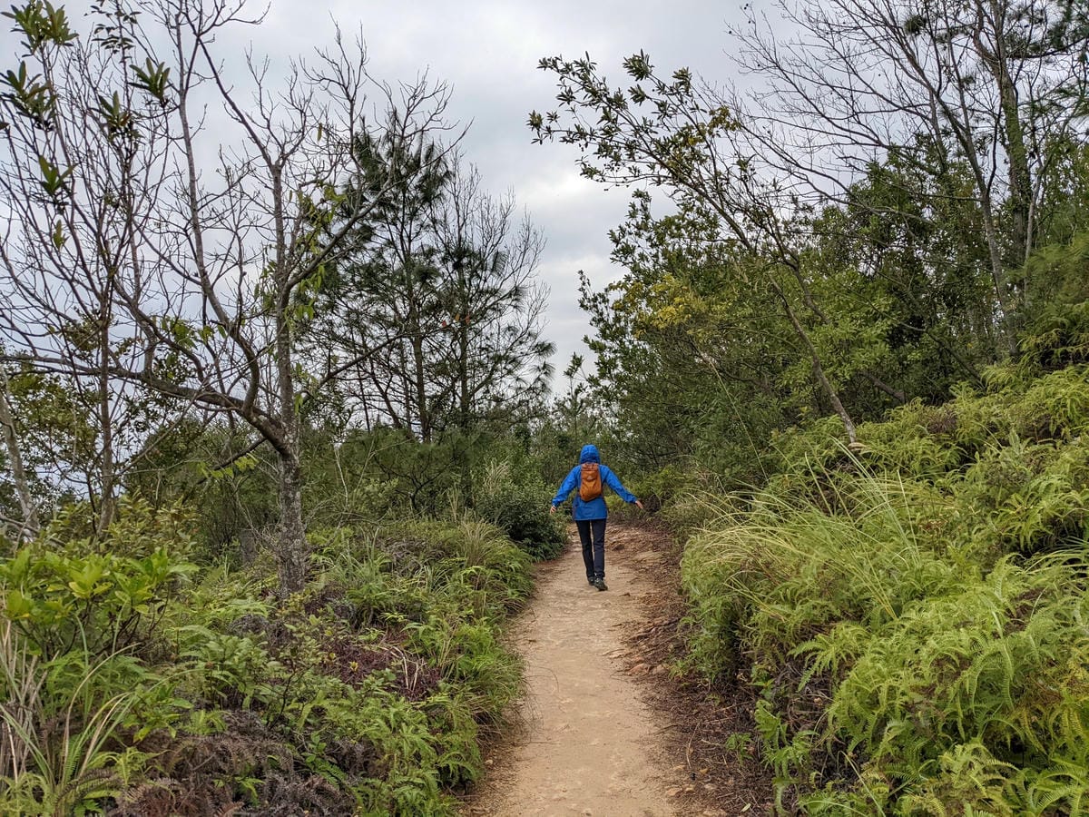 北投石牌軍艦岩丹鳳山爬山步道 非傳統路線連走