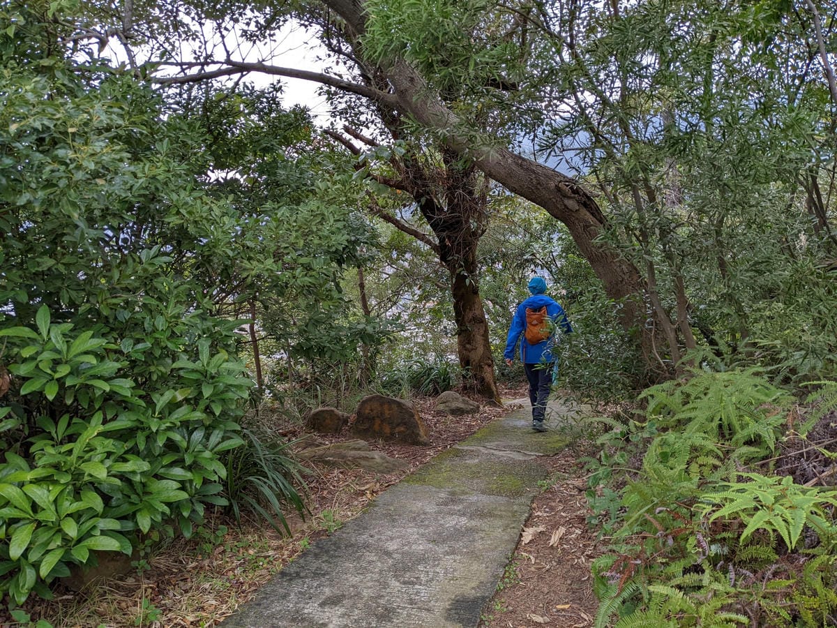 北投石牌軍艦岩丹鳳山爬山步道 非傳統路線連走