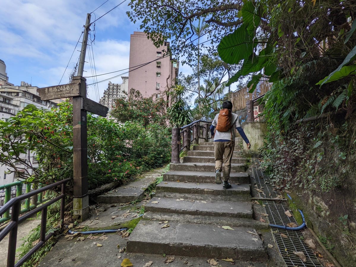 台北景美捷運登山 仙跡岩步道自然健行