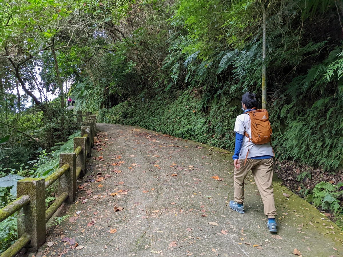 台北景美捷運登山 仙跡岩步道自然健行