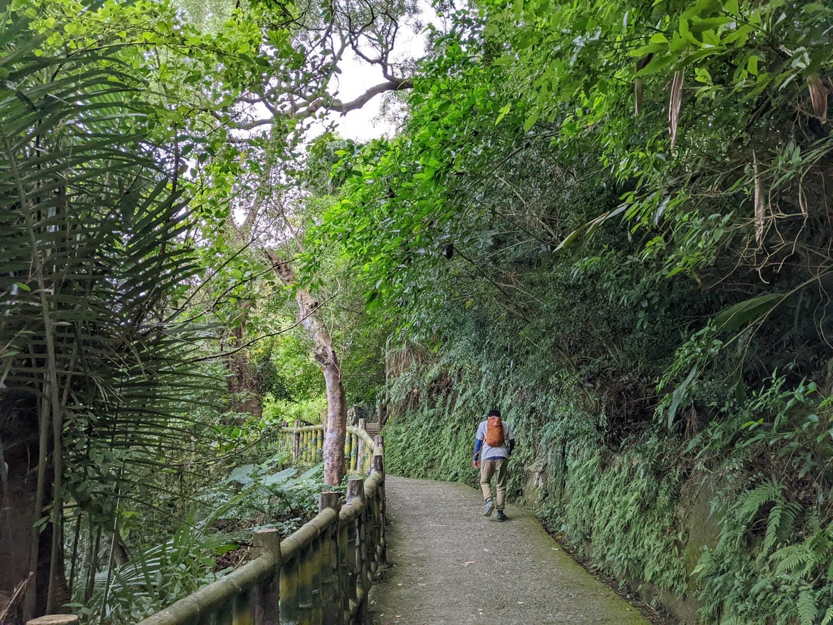 台北景美捷運登山 仙跡岩步道自然健行