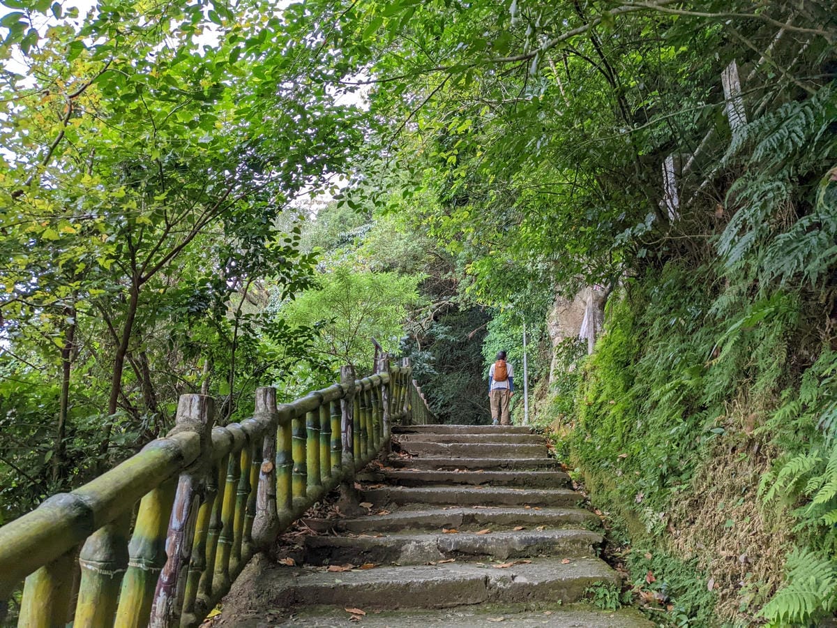 台北景美捷運登山 仙跡岩步道自然健行