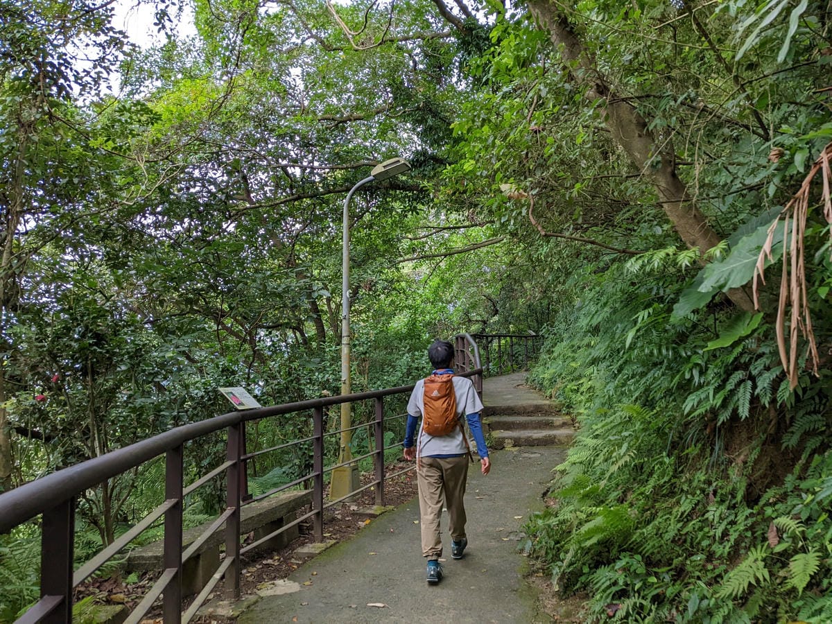 台北景美捷運登山 仙跡岩步道自然健行
