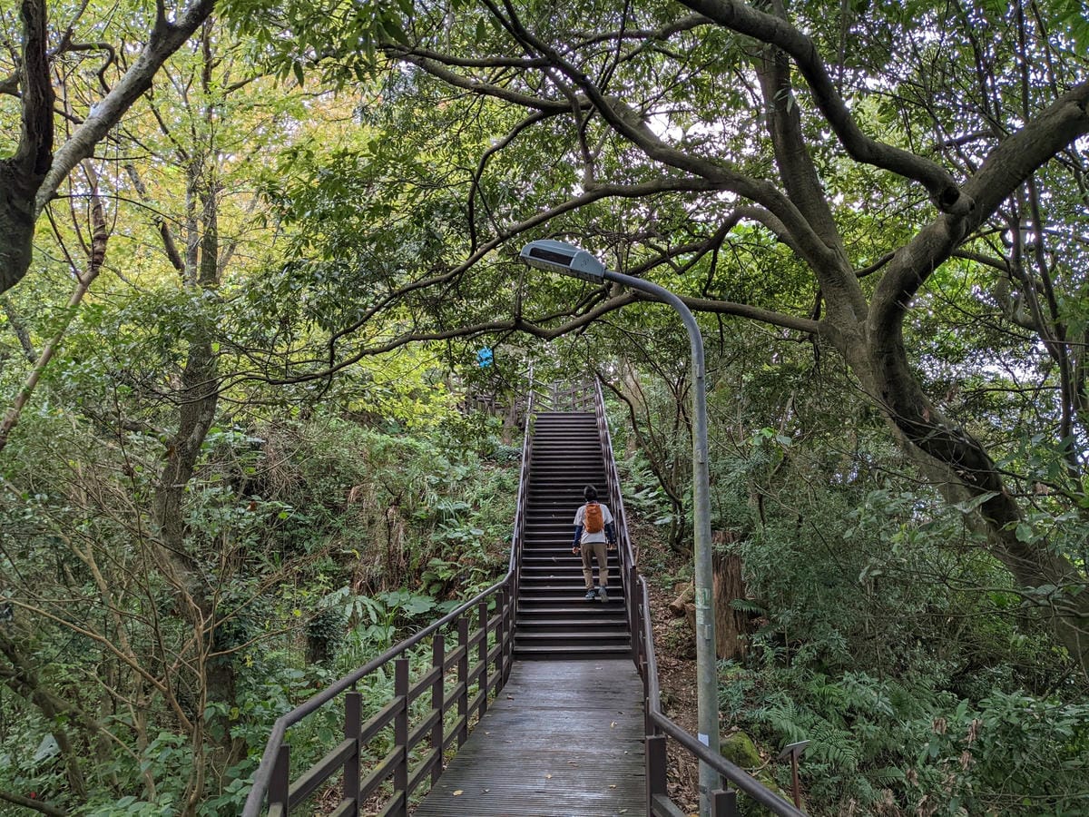 台北景美捷運登山 仙跡岩步道自然健行