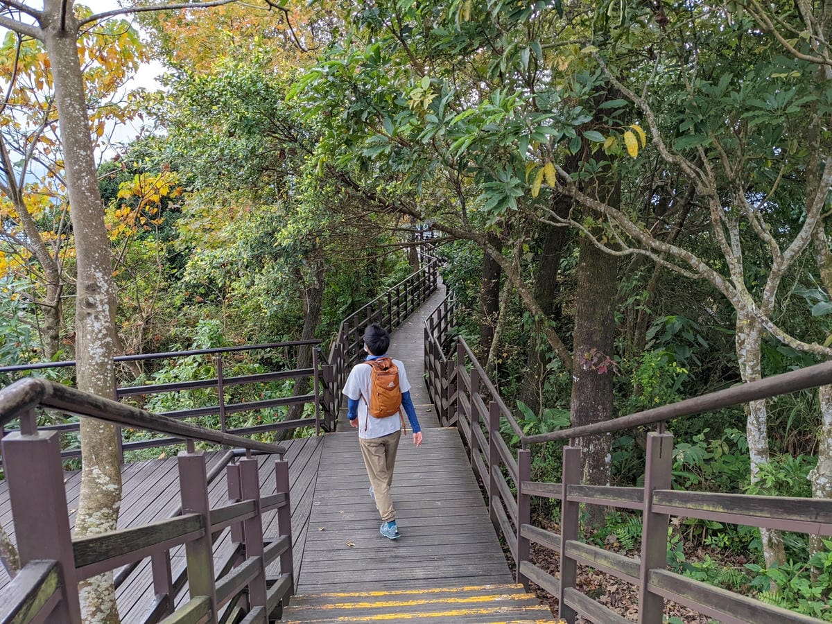台北景美捷運登山 仙跡岩步道自然健行