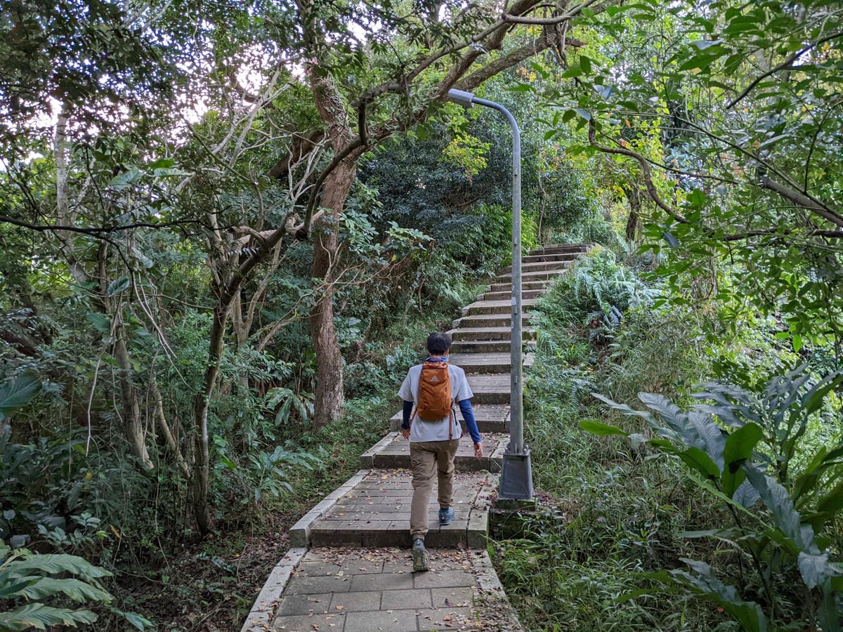 台北景美捷運登山 仙跡岩步道自然健行