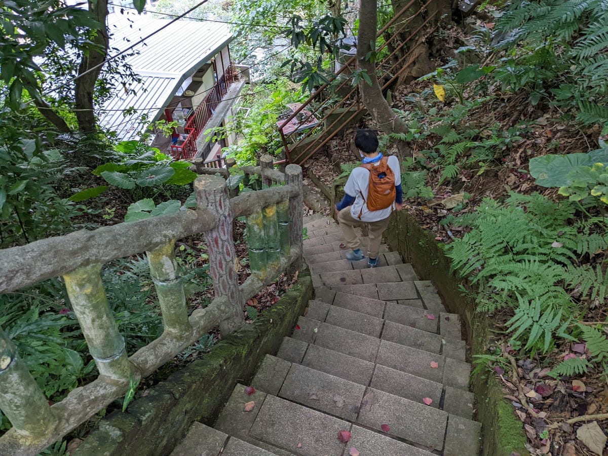 台北景美捷運登山 仙跡岩步道自然健行