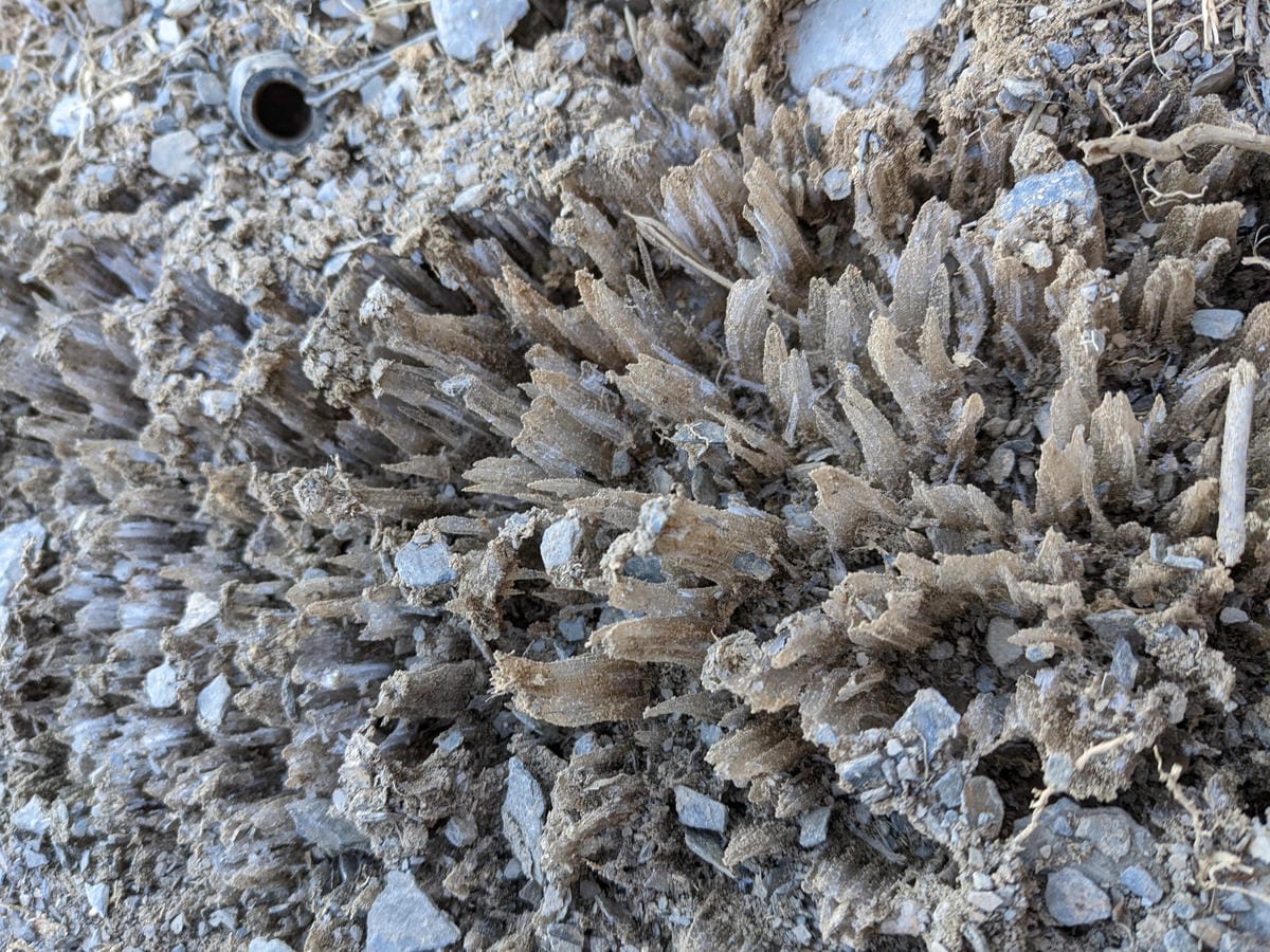 百岳合歡西峰 高山一日合歡北峰不下華岡