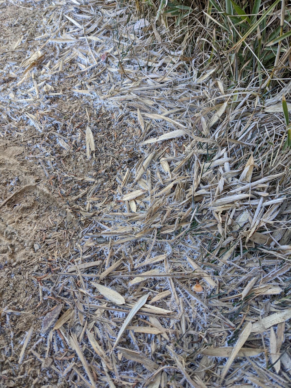 百岳合歡西峰 高山一日合歡北峰不下華岡