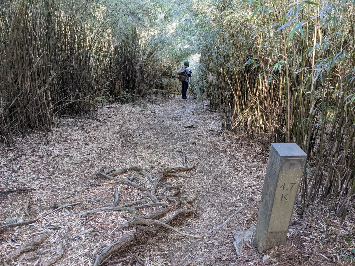百岳合歡西峰 高山一日合歡北峰不下華岡