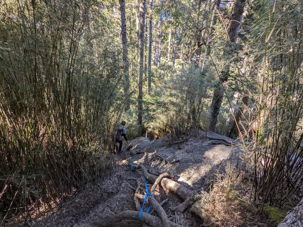 百岳合歡西峰 高山一日合歡北峰不下華岡