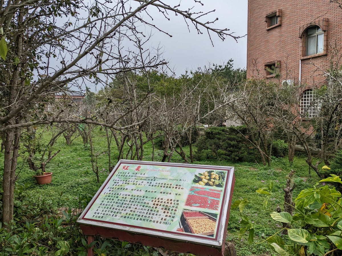 棗莊古藝庭園膳坊 苗栗客家特色菜