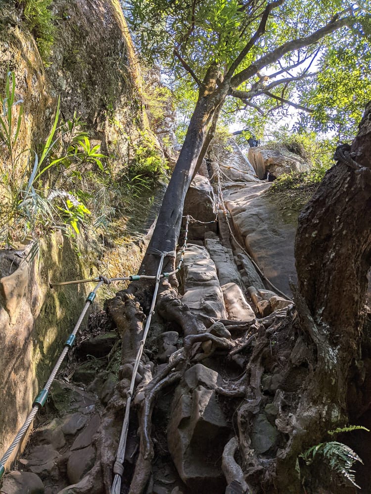 戶外困難地形通過課程心得攀樹感想