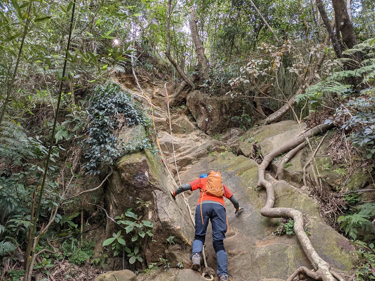 戶外困難地形通過課程心得攀樹感想