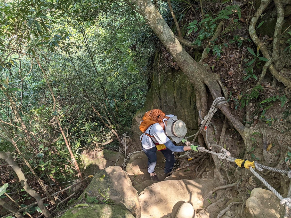 戶外困難地形通過課程心得攀樹感想