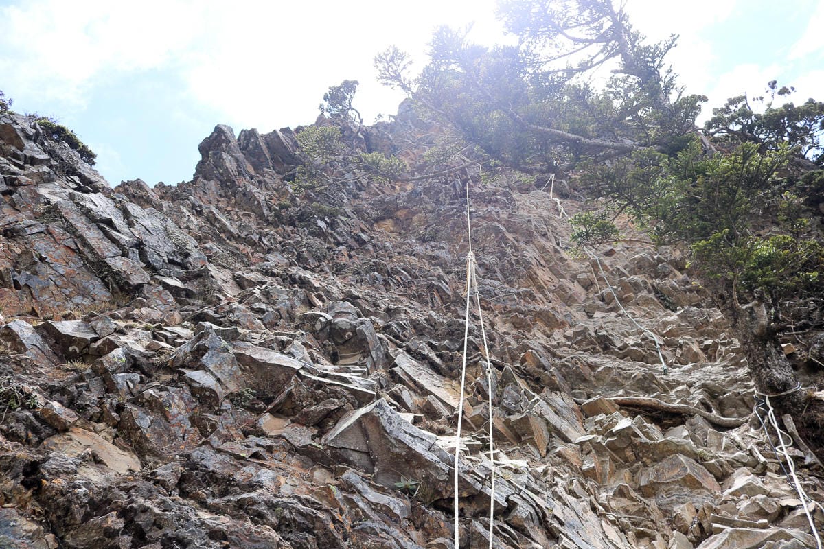 戶外困難地形通過課程心得攀樹感想